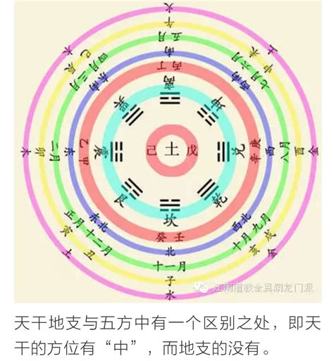 木卦|八卦中什么卦代表木